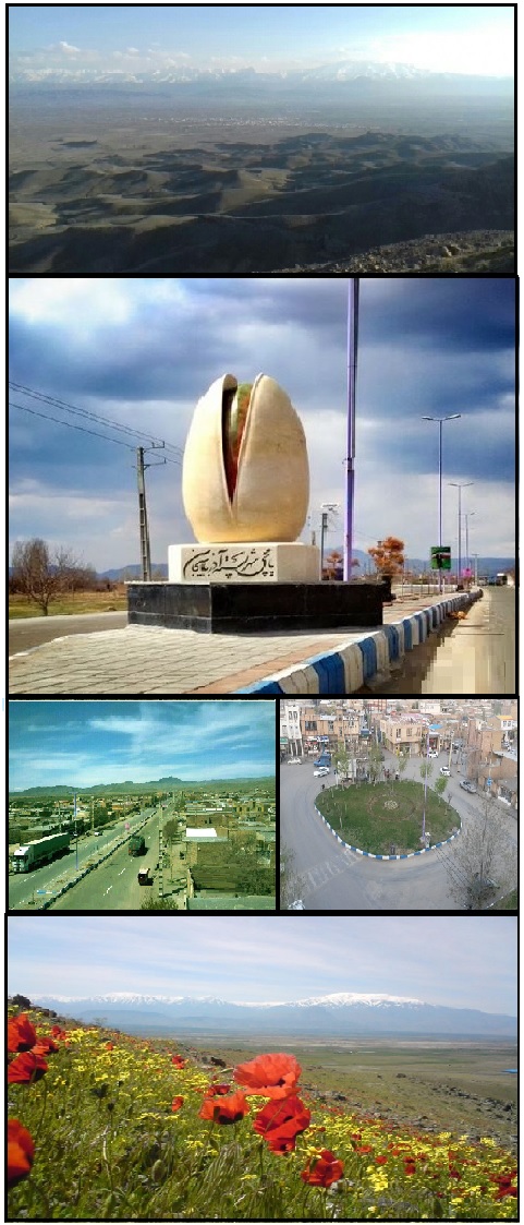 طراحی اپلیکیشن در یامچی