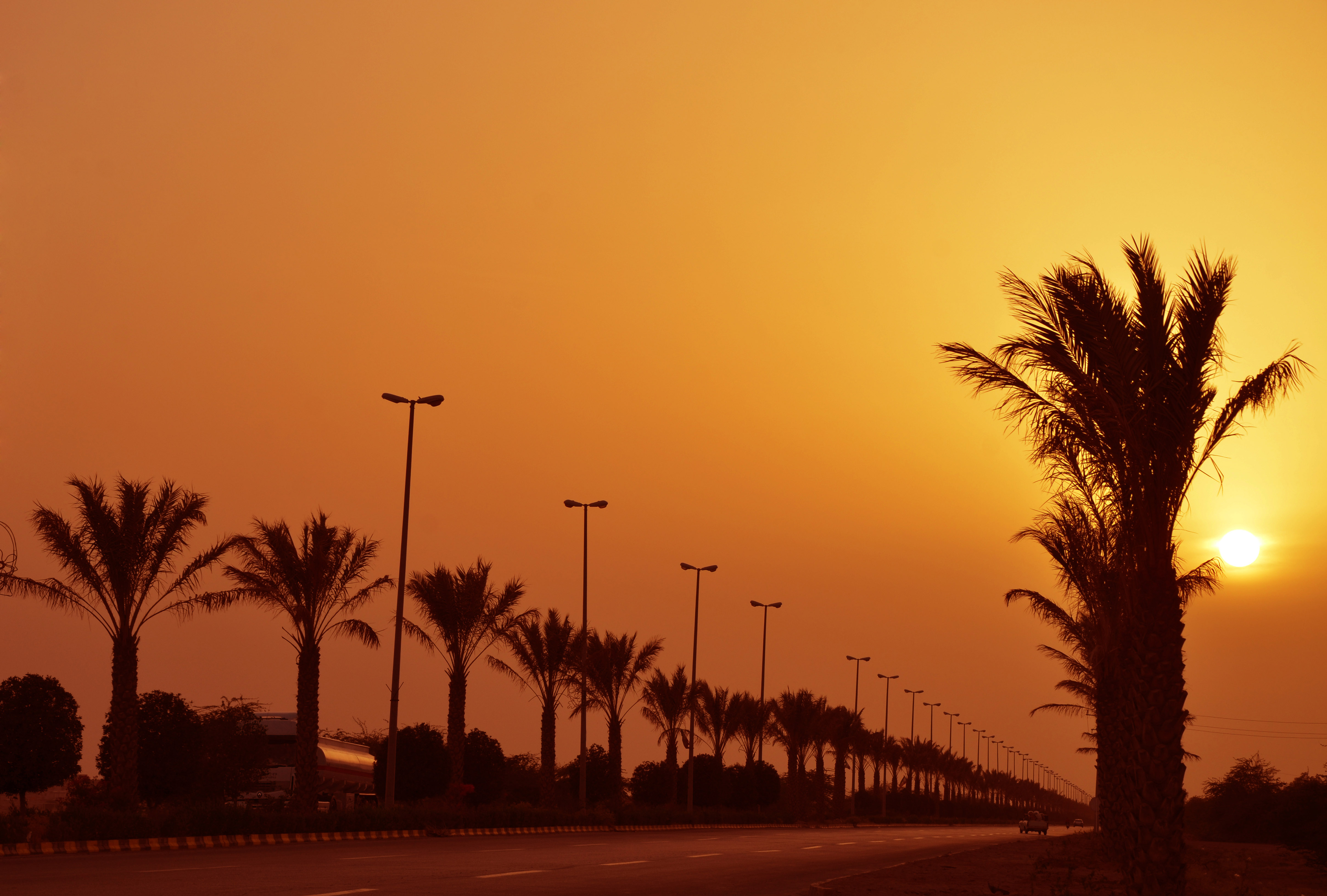 طراحی اپلیکیشن در بندرگناوه