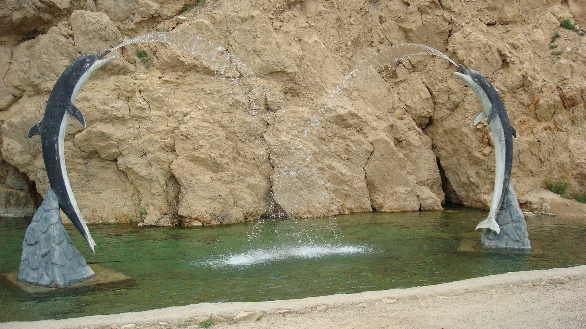 طراحی اپلیکیشن در شوقان