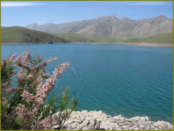 طراحی اپلیکیشن در گلپایگان