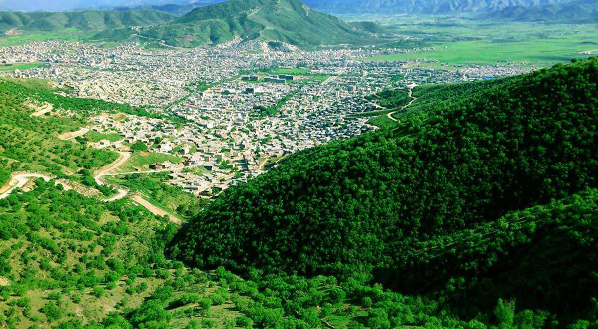 طراحی اپلیکیشن در مریوان